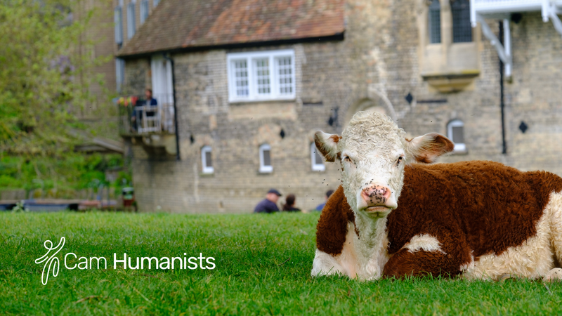 Event image: New monthly social and discussion | Cam Humanists